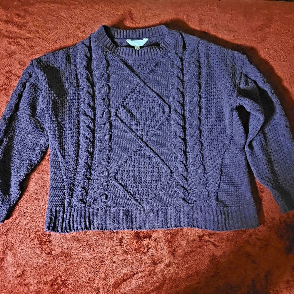 🔥🔥HP🔥🔥10-11-22🔥🔥NWOT TIME AND TRU SWEATER PURPLE SIZE M
